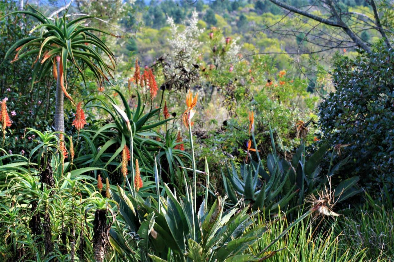 Colourful Bnb The Crags ภายนอก รูปภาพ