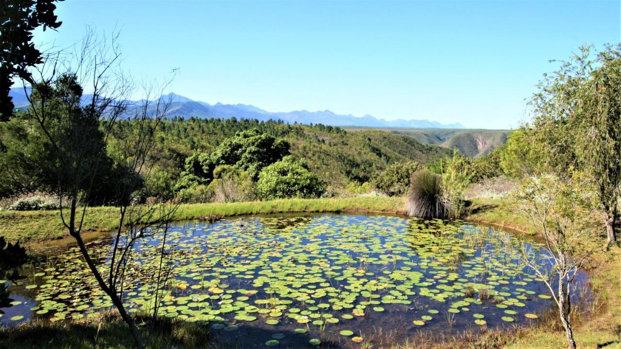 Colourful Bnb The Crags ภายนอก รูปภาพ